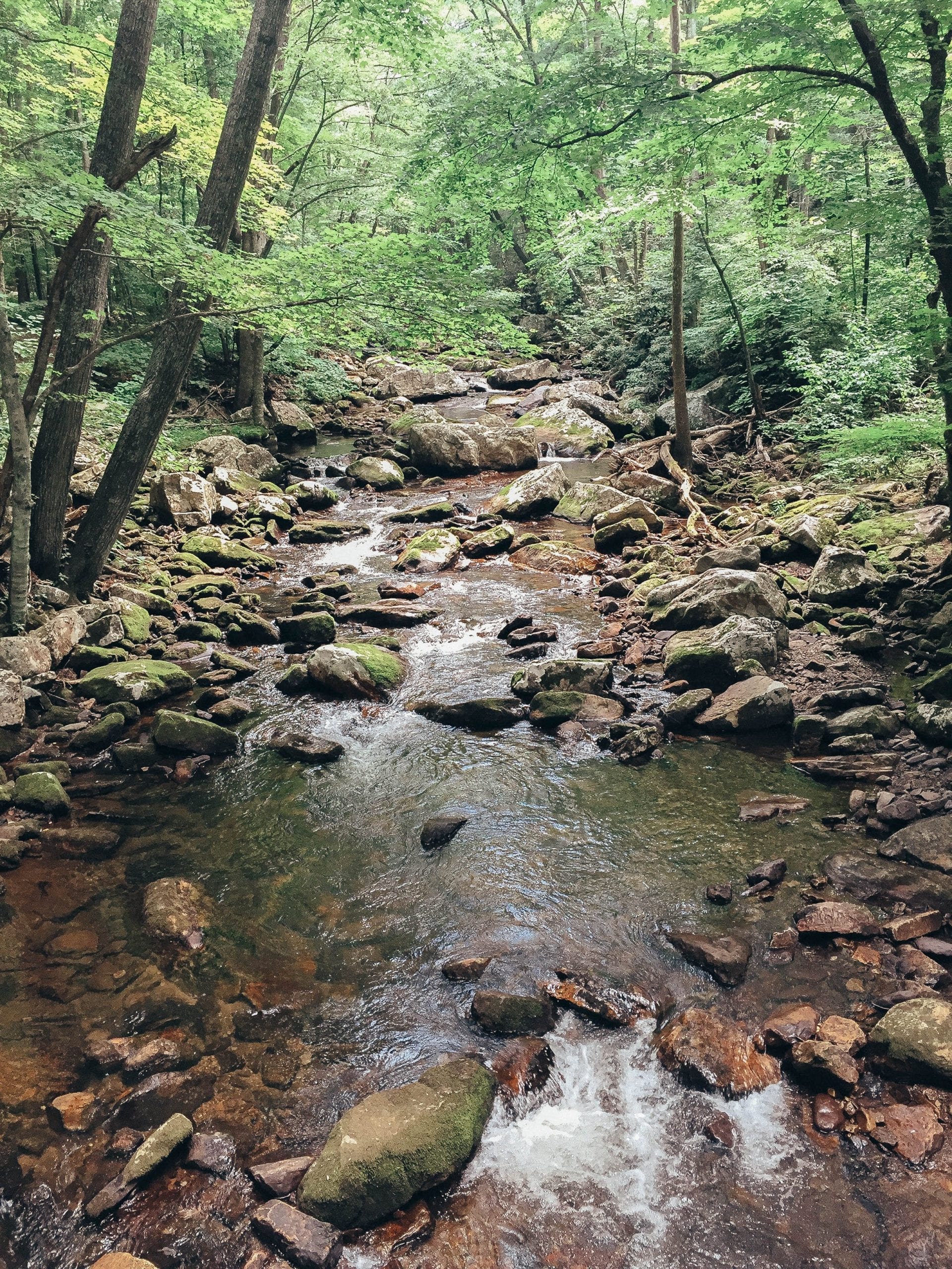 Hiking Cascade Falls Pembroke Virginia • Ashlea Paige