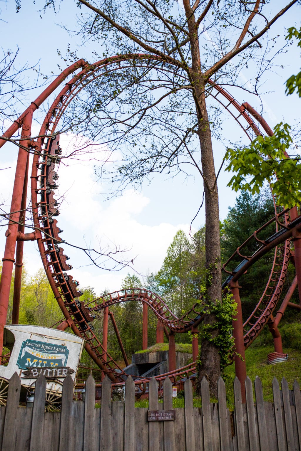 The Ultimate Guide to Visiting Dollywood in Tennessee • Ashlea Paige